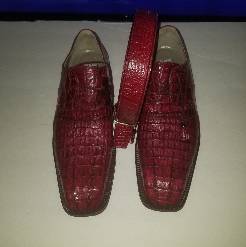 Alligator shoes and belt